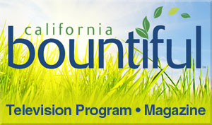 Chef Sergio on California Bountiful